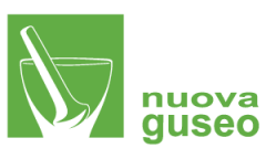 http://www.nuovaguseo.eu/